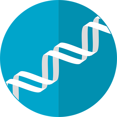 Diagnóstico Prenatal no Invasivo Ginequalitas Reproducción Diagnóstico Prenatal no Invasivo